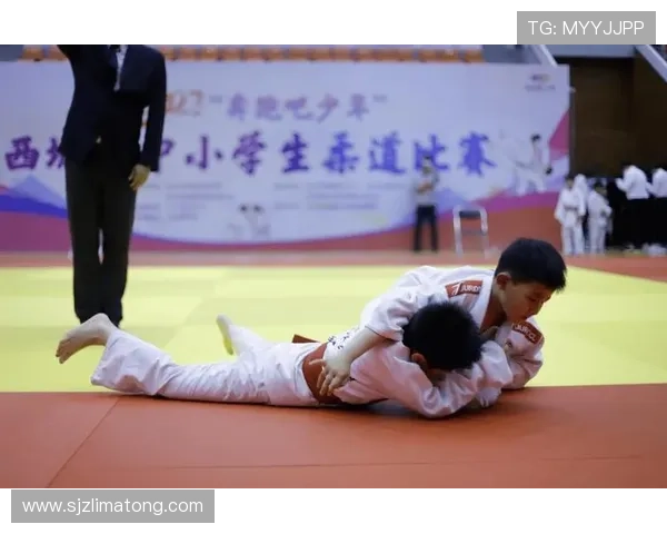 柔道世界纪录突破新高 揭秘各项技术创新与赛事发展趋势