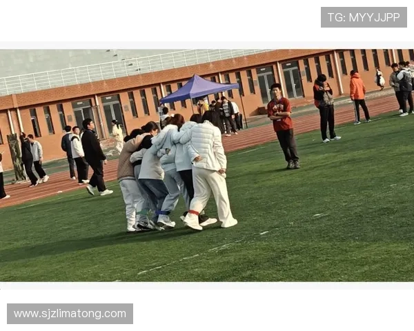 跃动青春凝聚力量排球趣味活动点燃团队激情与运动风采